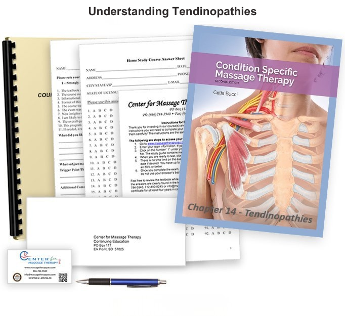Understanding Tendinopathies